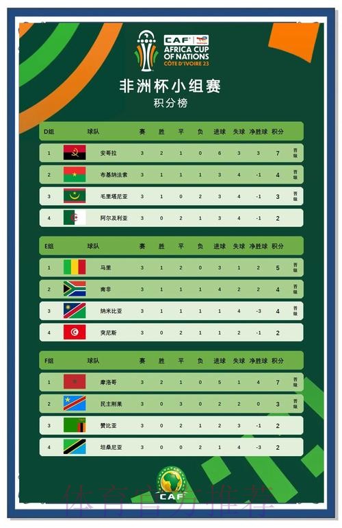 非洲杯四强出炉 卫冕冠军出局